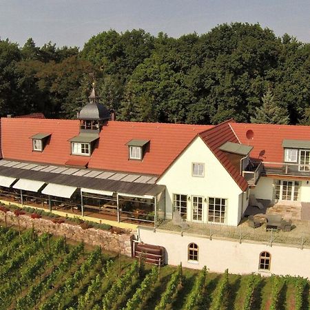 Pension Bella Vista - Winzerhof Golk Meißen 外观 照片