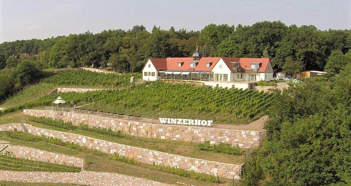 Pension Bella Vista - Winzerhof Golk Meißen 外观 照片